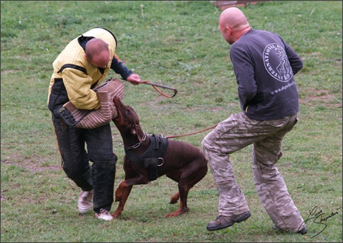 Training in Prague 10/2007